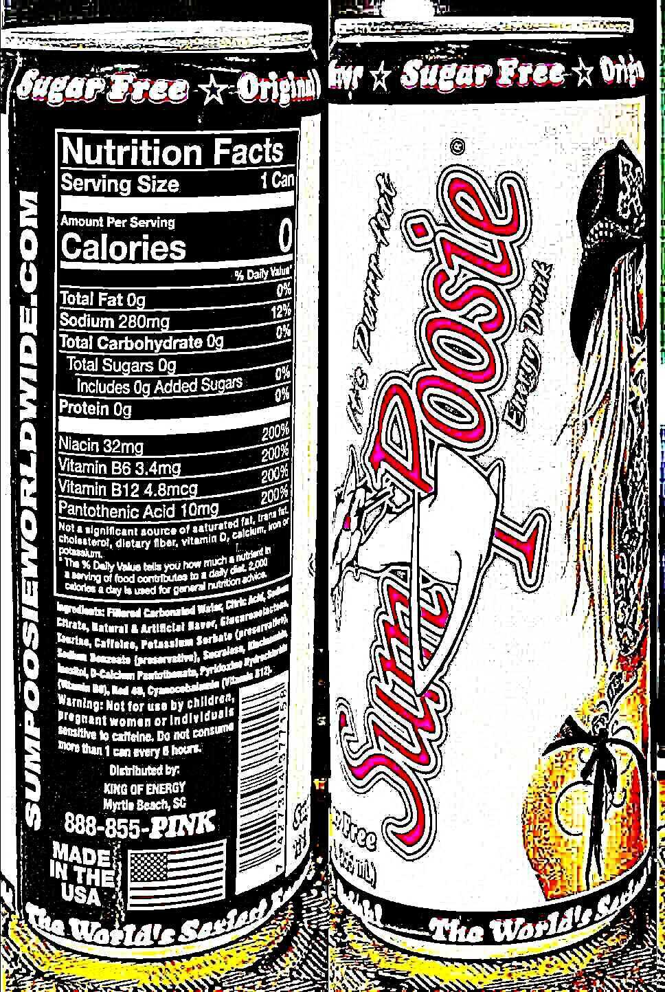 Sugar Free Citrus Cherry 12 Fl Oz Cans (Pack of 12) – Sum Poosie